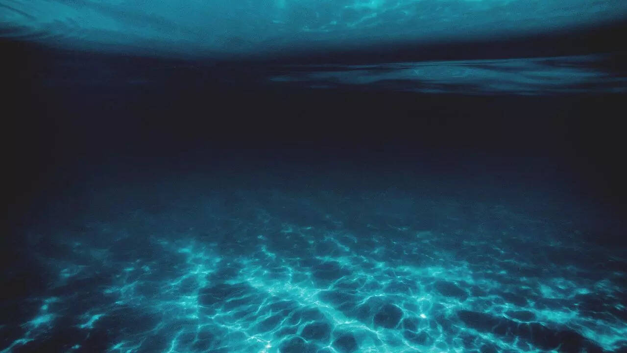 Life found 31,000 feet below the ocean: A hidden world of deep-sea creatures thrives without sunlight