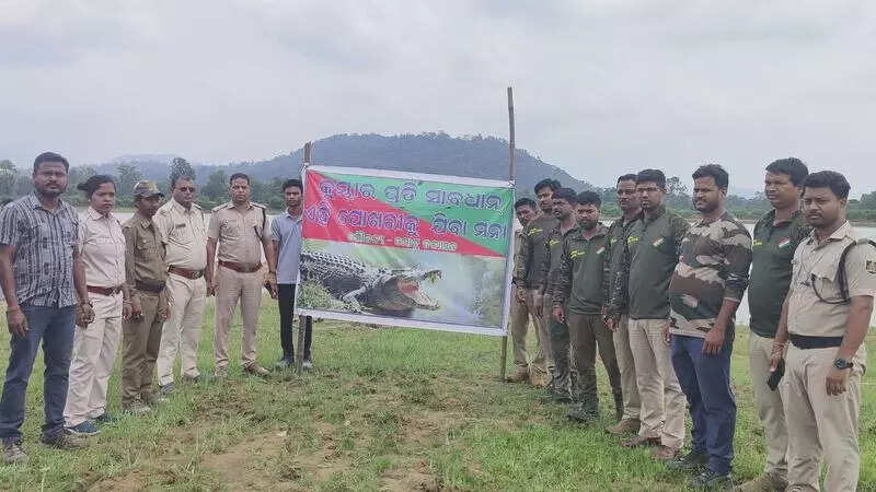 Crocodile spotted in village pond in Malkangiri, triggers panic