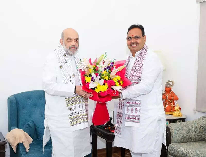 msid 123068019,imgsize 42146 https://jaipur.visitinrajasthan.com/wp-content/uploads/2023/10/cropped-cropped-R-2.png