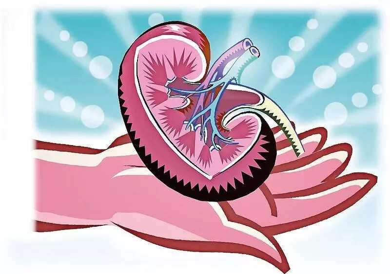 In 2025, Gujarat records 3 cadaver organ donations weekly