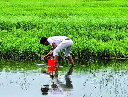 Sewage from overloaded Baga waste plant floods fields