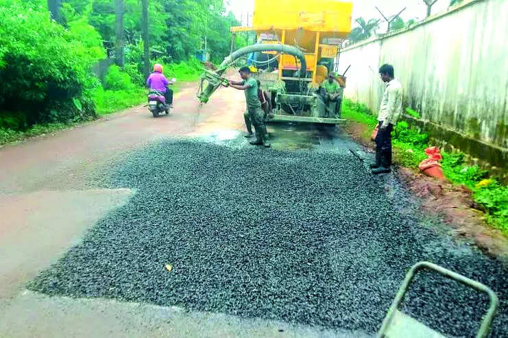 Bethora road fixed after saplings-in-potholes threat