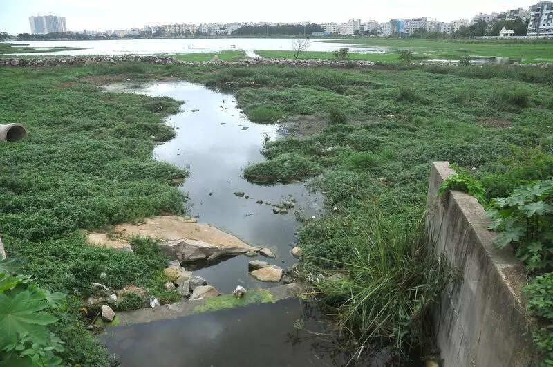 Fading boundaries: Encroachments, sewage choke Amber Cheruvu