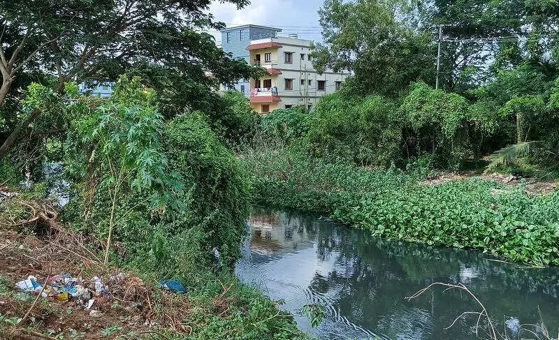 Utkal univ seminar throws light on Gangua river’s pollution