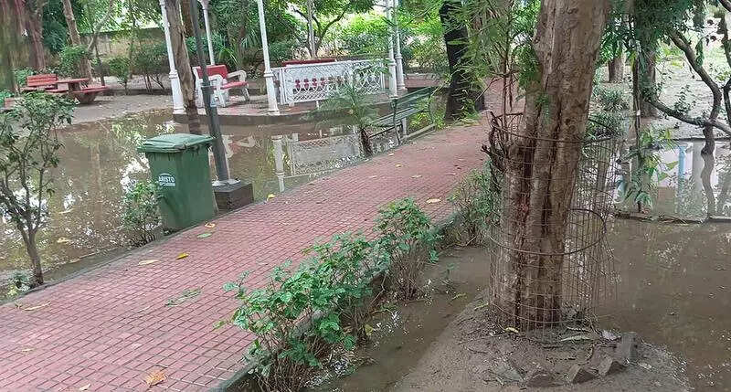 Defunct rainwater harvesting pits in Gurgaon’s Sector 40 trigger waterlogging, dengue fears