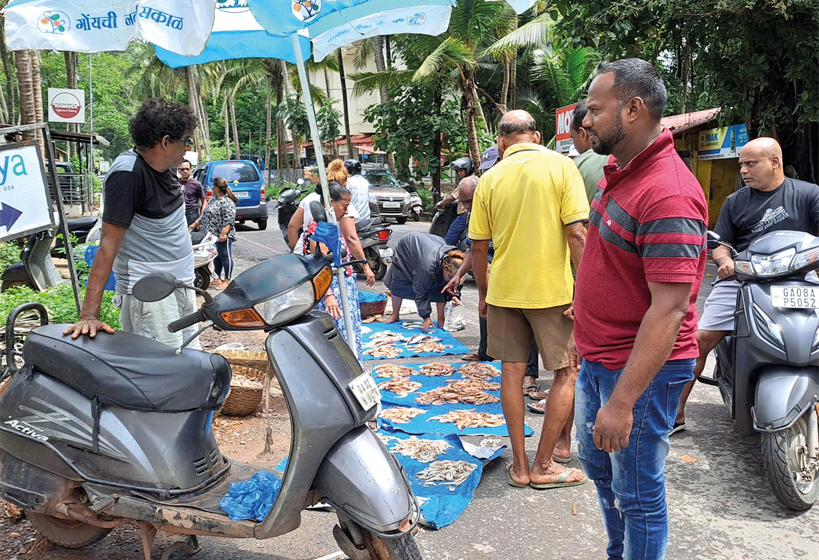 Bountiful catch brings cheer to Salcete fisherfolk