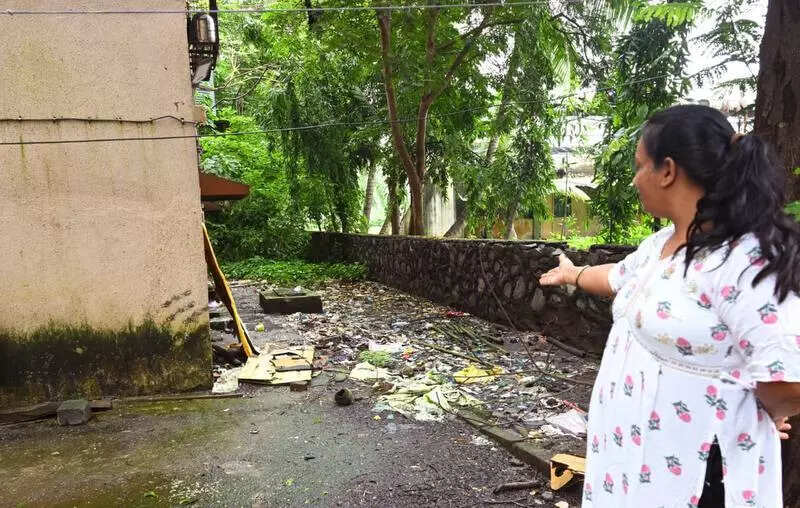 msid 123081671,imgsize 94772