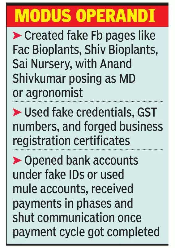 Gang of cybercrooks posing as plant sellers busted; 4 held