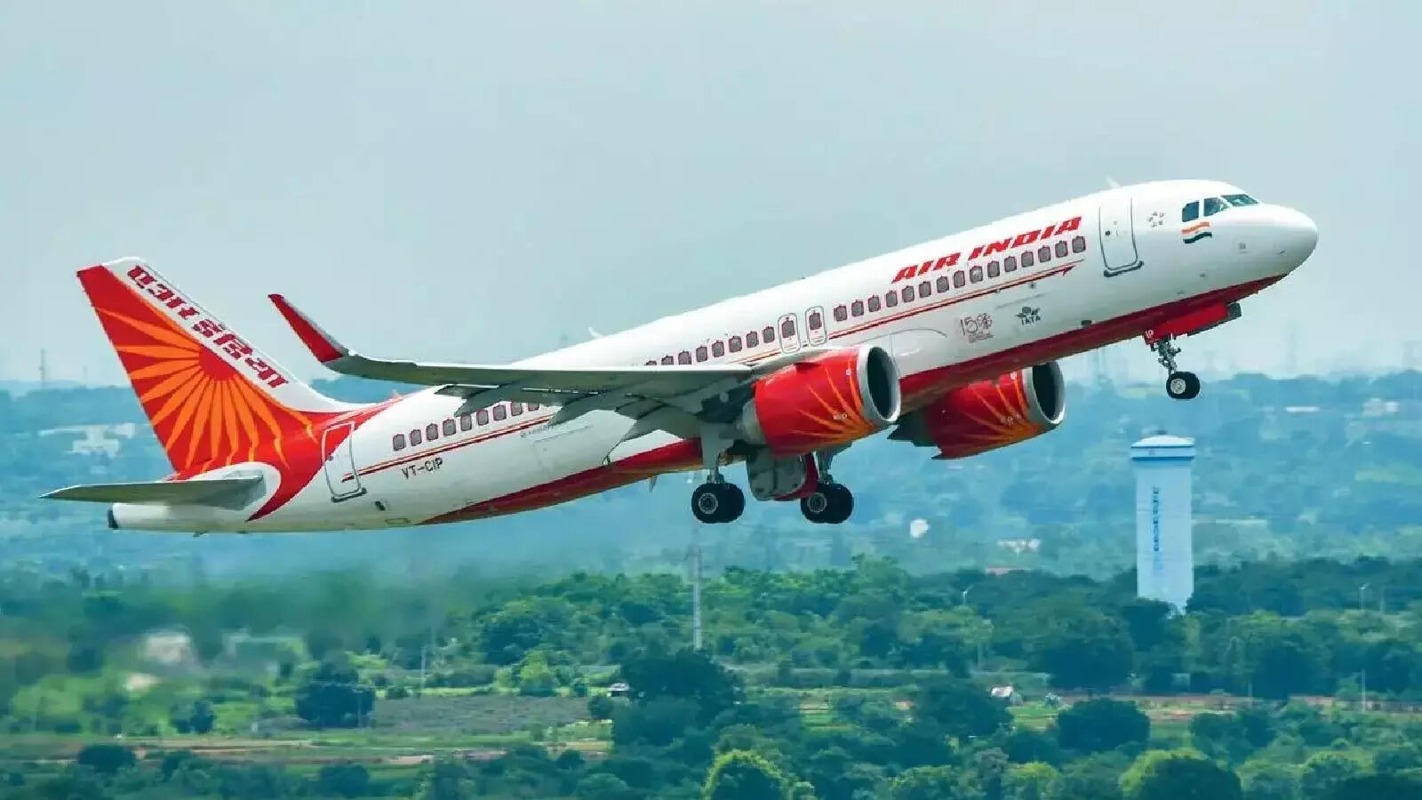 Cockroaches found in San Francisco-Mumbai Air India flight; airline apologises
