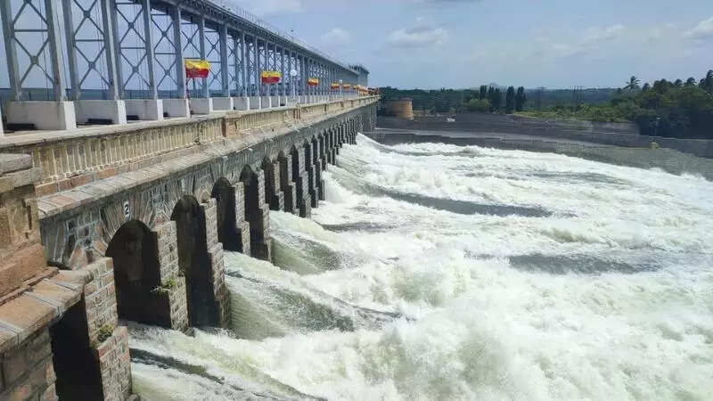 Suggesting Tipu conceptualised KRS dam is pandering to vote bank, says BJP