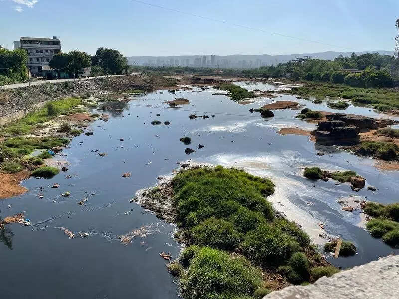 IIT-Bombay’s report for PCMC detects polluted rivers, recommends no housing project nearby Taloja MIDC