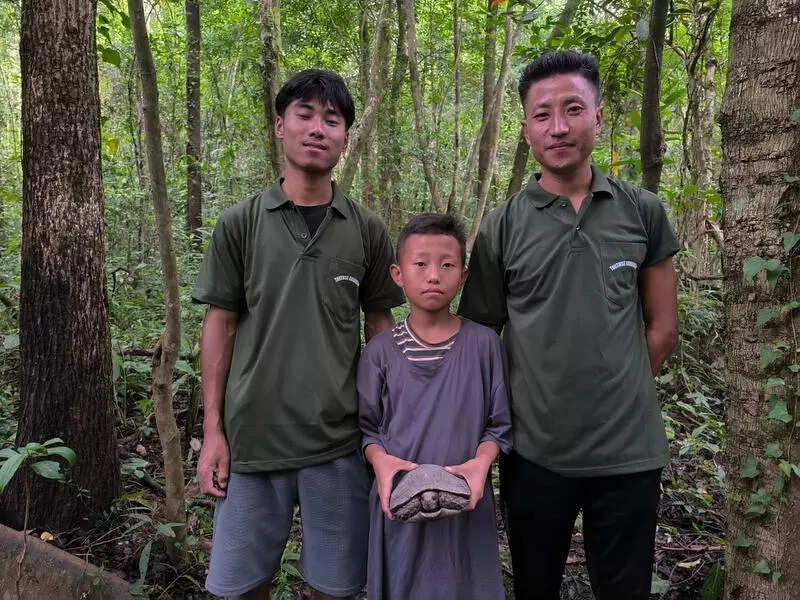 Critically endangered Asian giant tortoises find new home in Nagaland