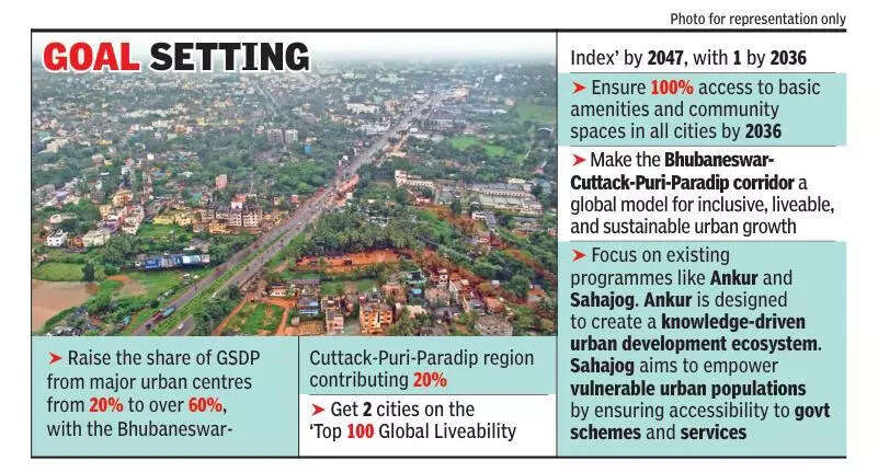 Govt plans urban devpt task force to execute projects