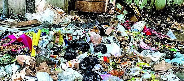 Bill to penalise litterbugs passed