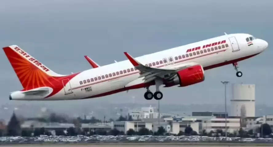 Air India apologises, ‘deep cleans’ after roaches found on flight