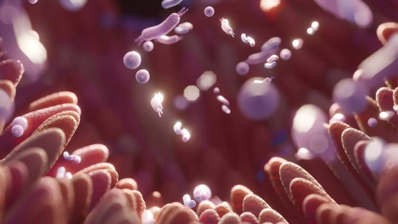 Bacterial toxins