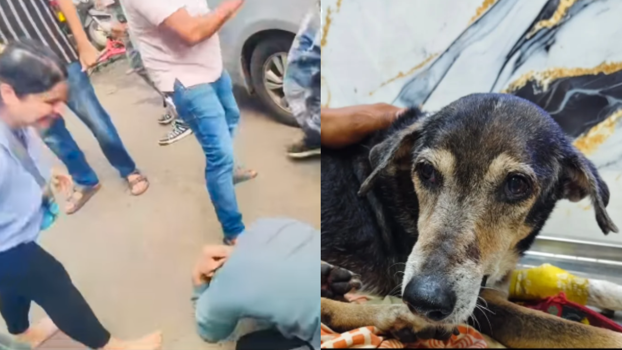 ‘Uno reverse’: Man beats elderly dog with stick, gets thrashed by locals in Navi Mumbai; video