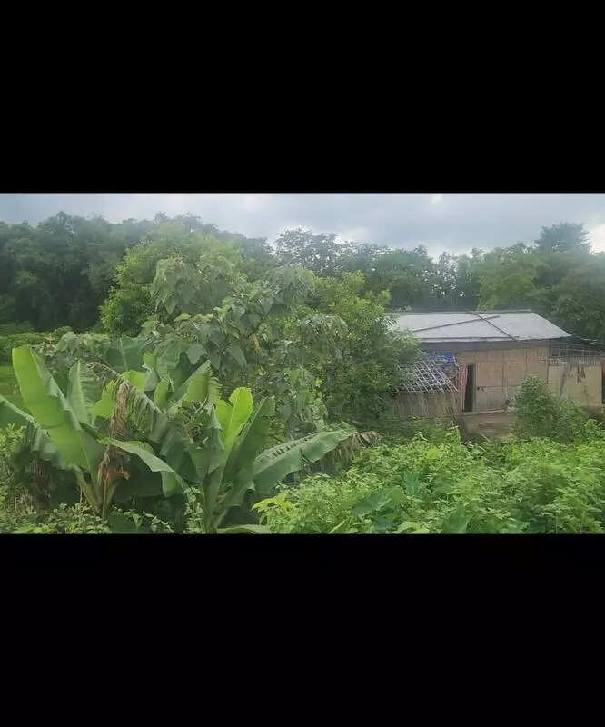 Heat on ‘Miya Muslims’ in upper Assam following evictions