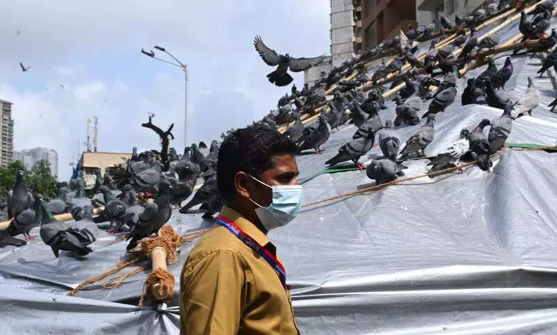 While govt appears to backtrack, BMC seeks police cover at GPO