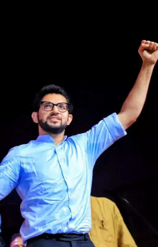 Lodha must give plot for feeding pigeons: Aaditya