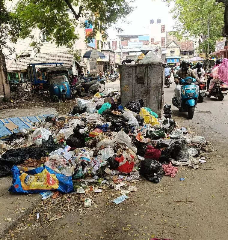 Chennai chokes on garbage as 3K workers strike over privatisation