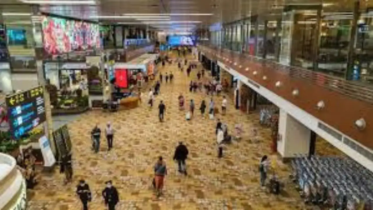 Arrested from India-bound plane before take off: American couple jailed in Singapore for stealing Louis Vuitton, Dior products at airport