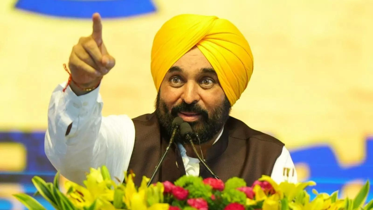 Punjab launches major crackdown on food adulteration: Over 5,000 kg paneer, 4,000 kg milk destroyed; legal action, seizures follow