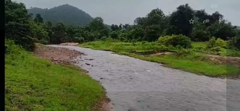 Govt begins survey to connect Kubba village with road