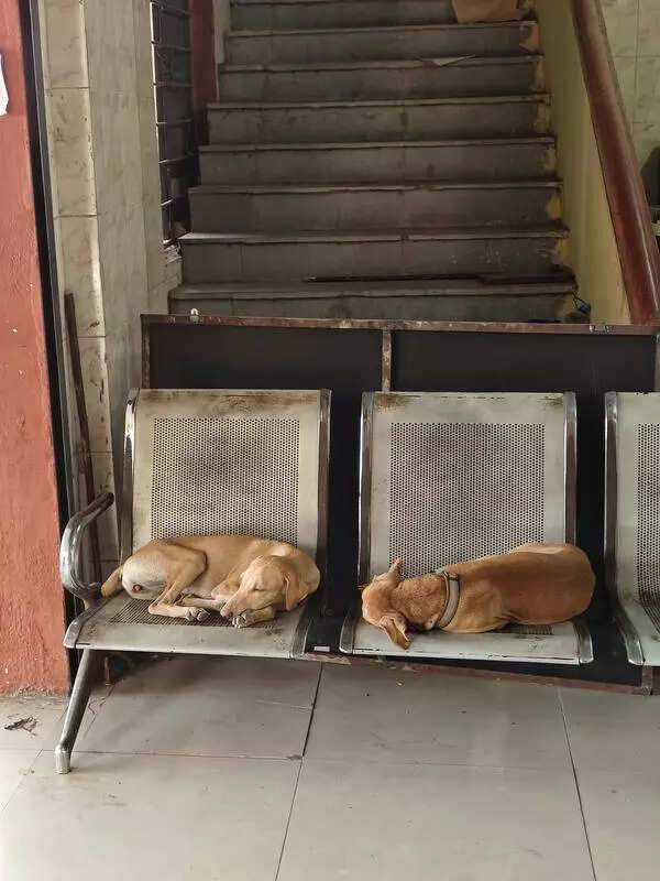 Residents urge authorities to shift Perambur tahsildar office