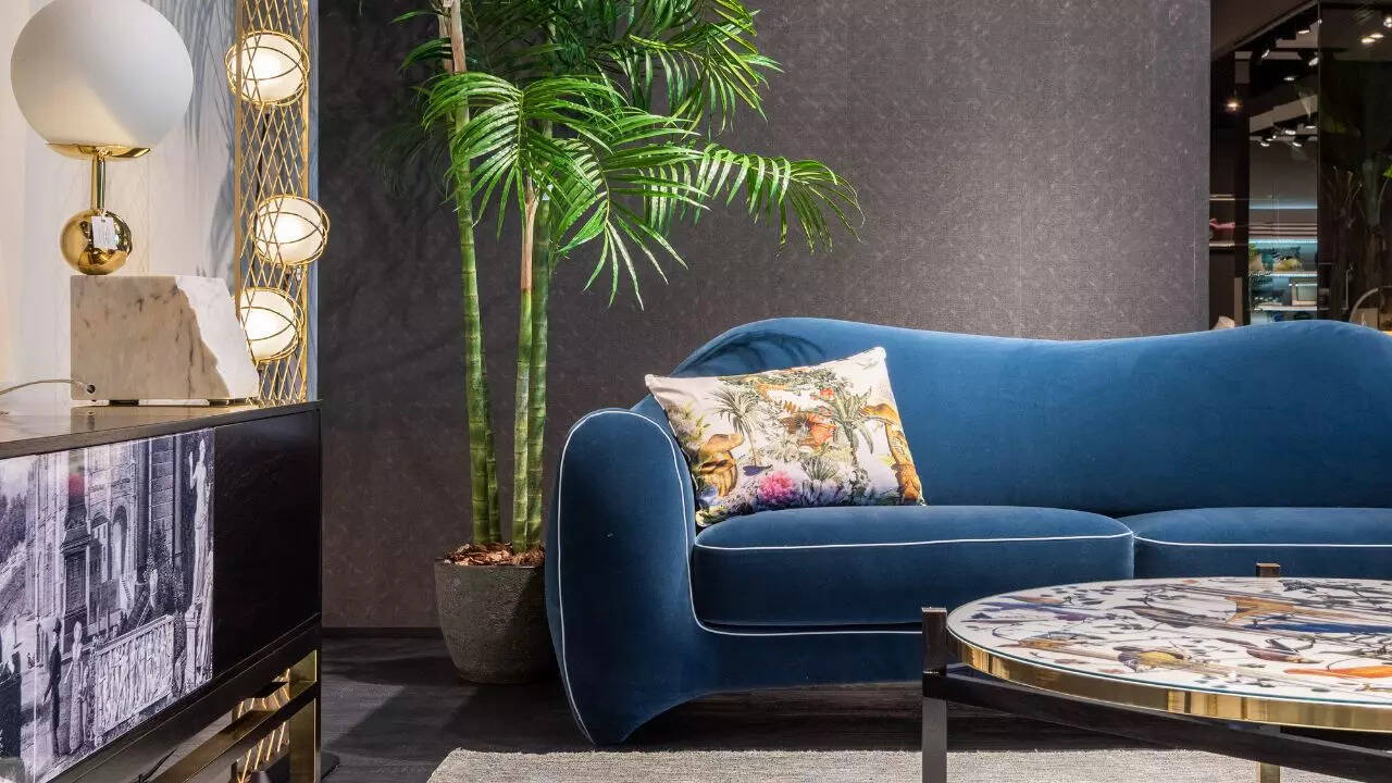 9 best indoor plants for windowless rooms and dark corners