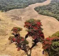 CNF, CNA take over Falam trade centre in Myanmar