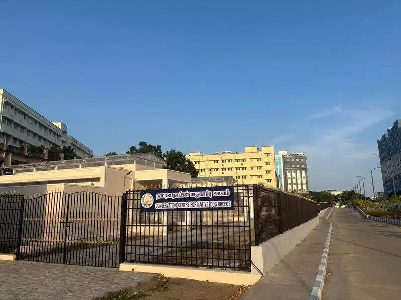 TN to begin online sale of native breed dogs to curb illegal trade