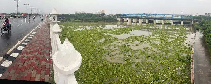 Rain brings relief, more showers likely till weekend