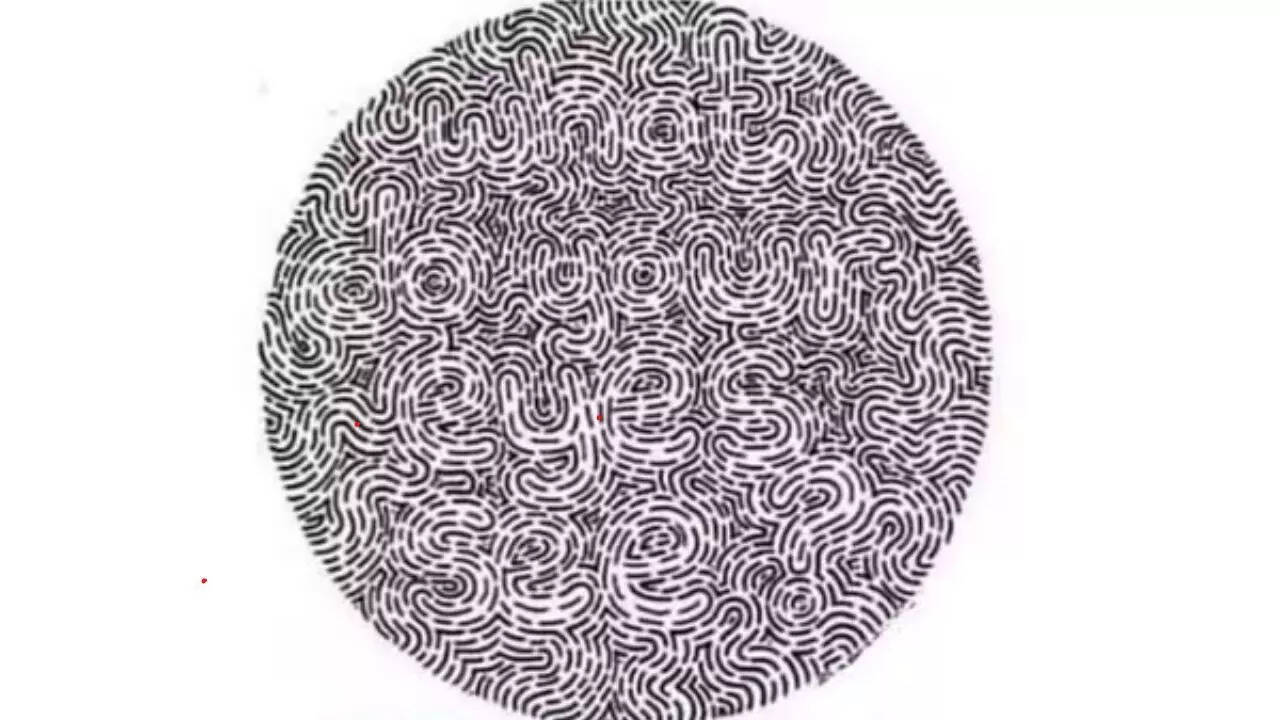 Optical Illusion: Can you find the hidden sentence in just 15 seconds?