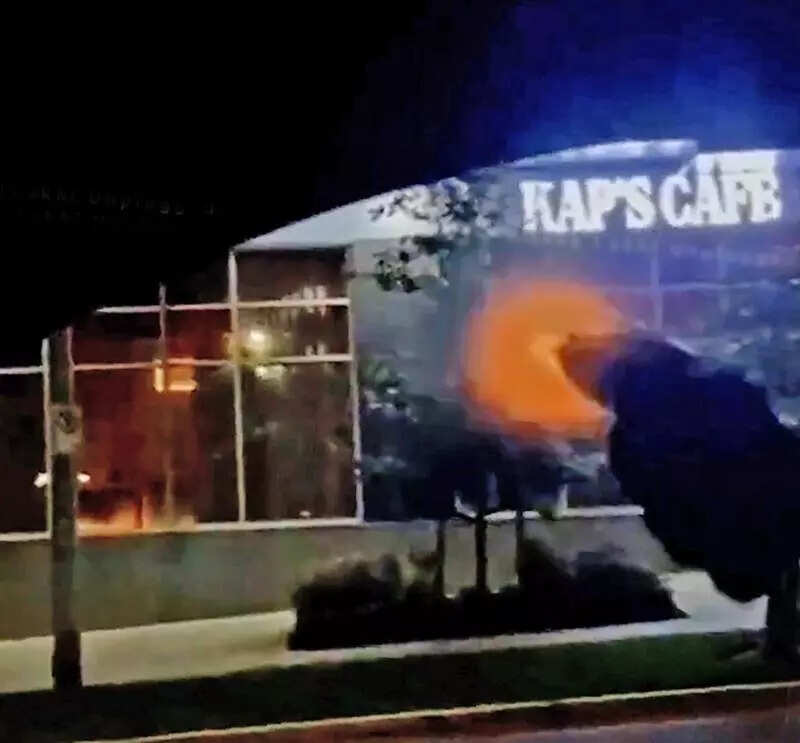 Arrest of 5 Haryana men for ‘bid to sell’ arms raises Bishnoi link fears