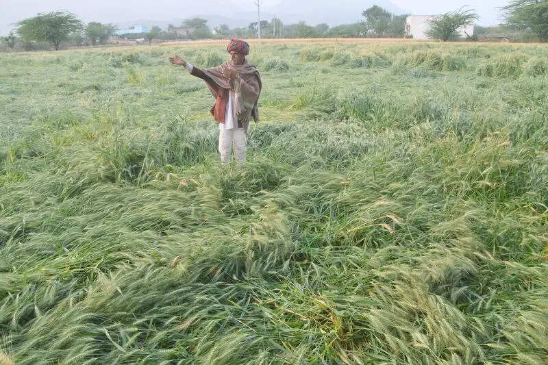 msid 123195878,imgsize 104450 https://jaipur.visitinrajasthan.com/wp-content/uploads/2023/10/cropped-cropped-R-2.png