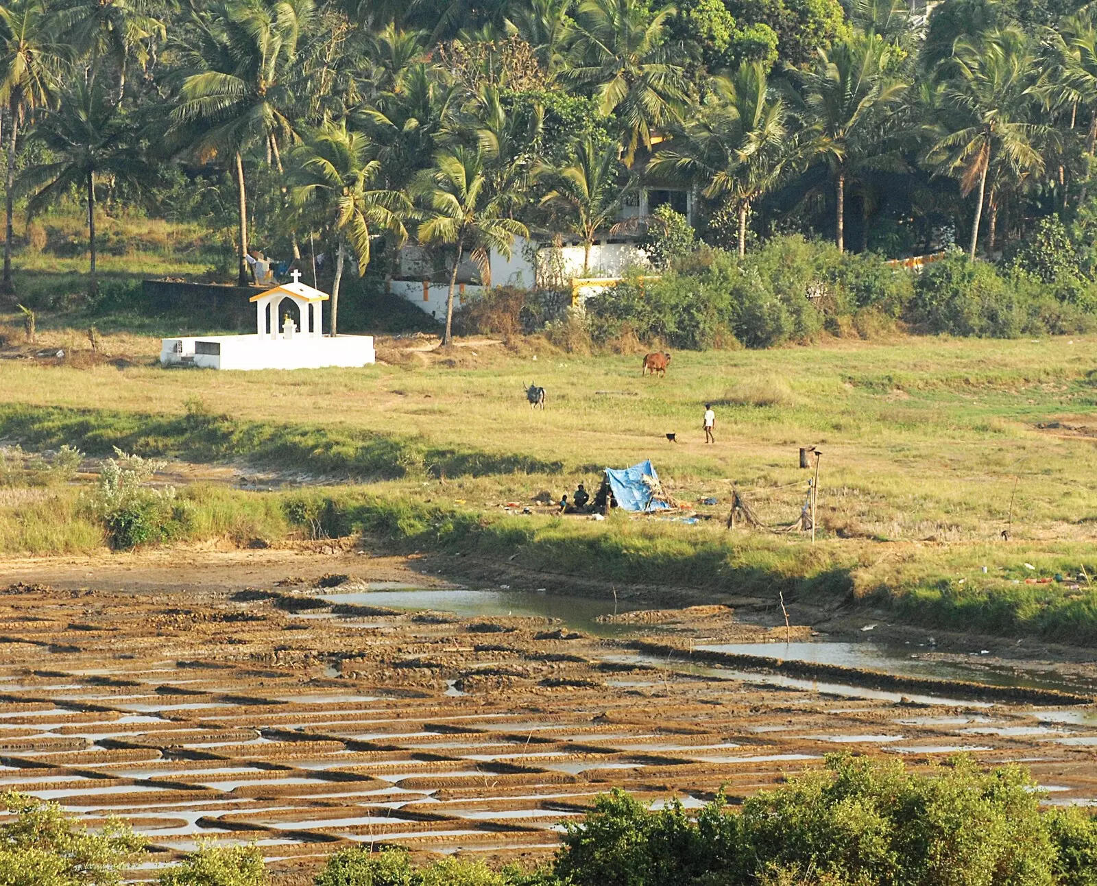 Carmona p’yat halts alleged illegal land filling