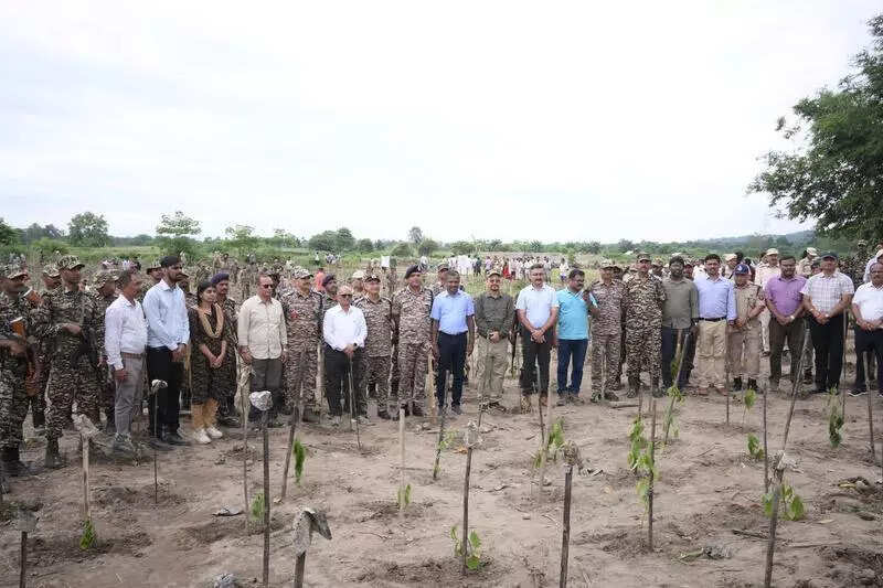 Uriamghat’s green revival: 10,000 bighas freed, 15,000 saplings planted