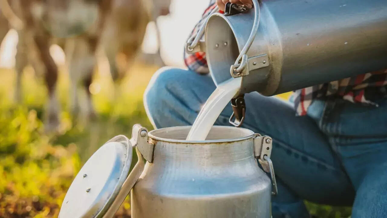 Raw milk (10)