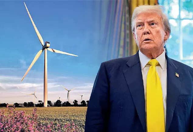BLOWING IN THE WIND... Donald Trump dislikes wind turbines, which he considers a blot on the landscape — yet, these are actually far better at preserving nature, a fact many nations accept