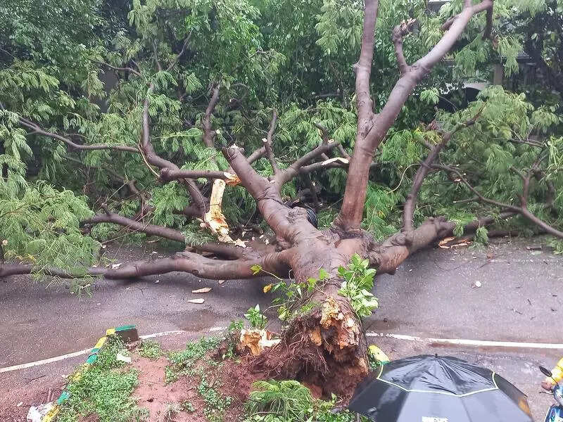 Heavy rain causes flooding in Bengaluru’s Manyata Tech Park area