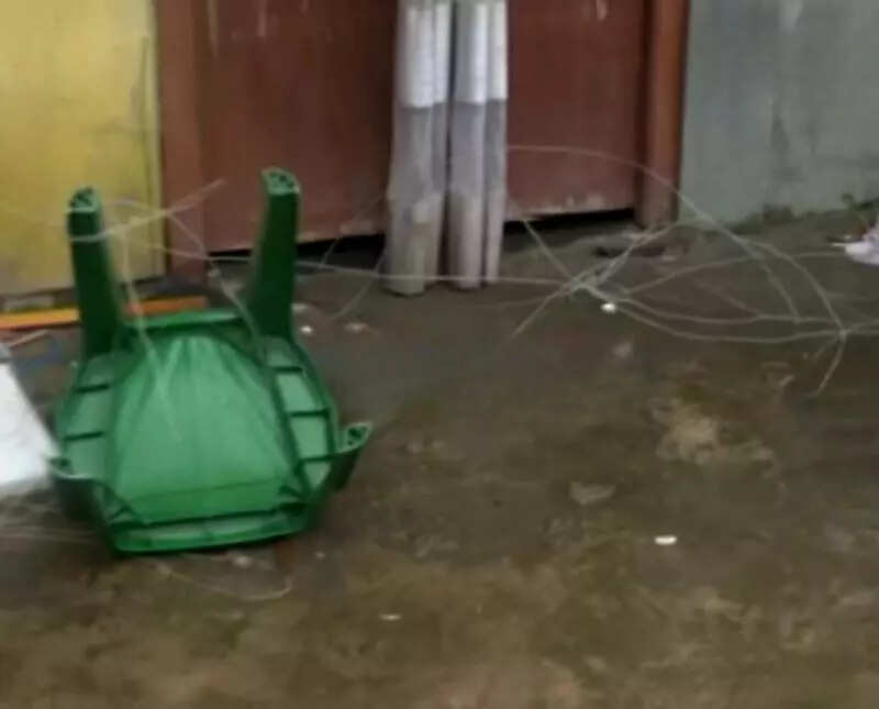 Live wire meant to deter monkeys kills 2 Lakhimpur brothers