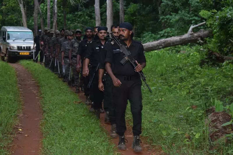 Plan to re-train forest personnel in weapons handling