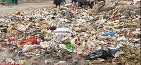 Now, councillors throw up hands as waste management spirals out of control in Gurgaon