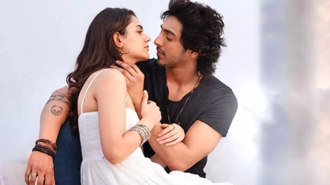 'Saiyaara' misses Rs . 320 cr mark by a whisker