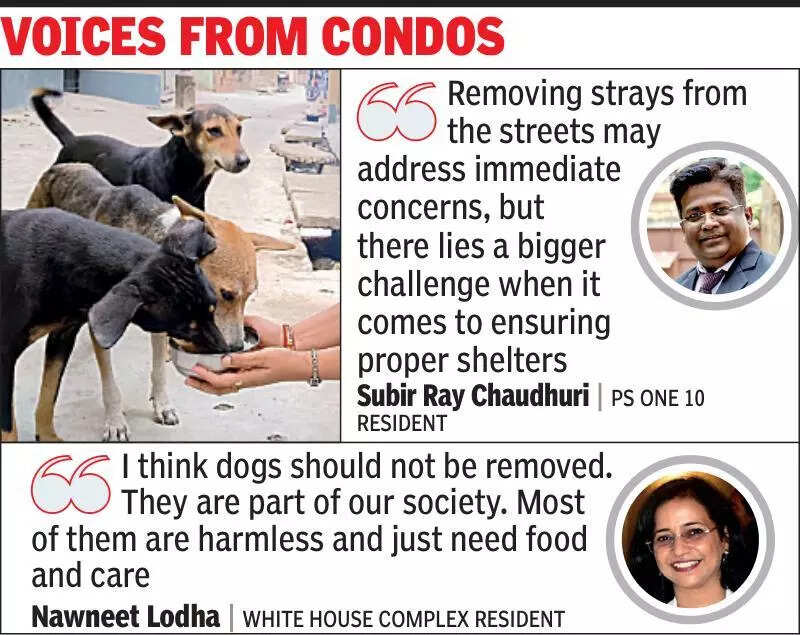 One query unites dog factions: Can SC order be implemented?