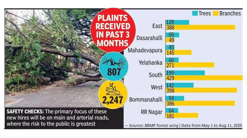 Bruhat Bengaluru Mahanagara Palike to rope in fresh graduates to save lives from falling trees