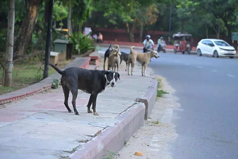 msid 123266033,imgsize 35204 https://jaipur.visitinrajasthan.com/wp-content/uploads/2023/10/cropped-cropped-R-2.png