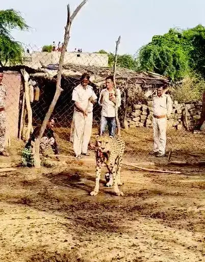 msid 123266044,imgsize 62916 https://jaipur.visitinrajasthan.com/wp-content/uploads/2023/10/cropped-cropped-R-2.png