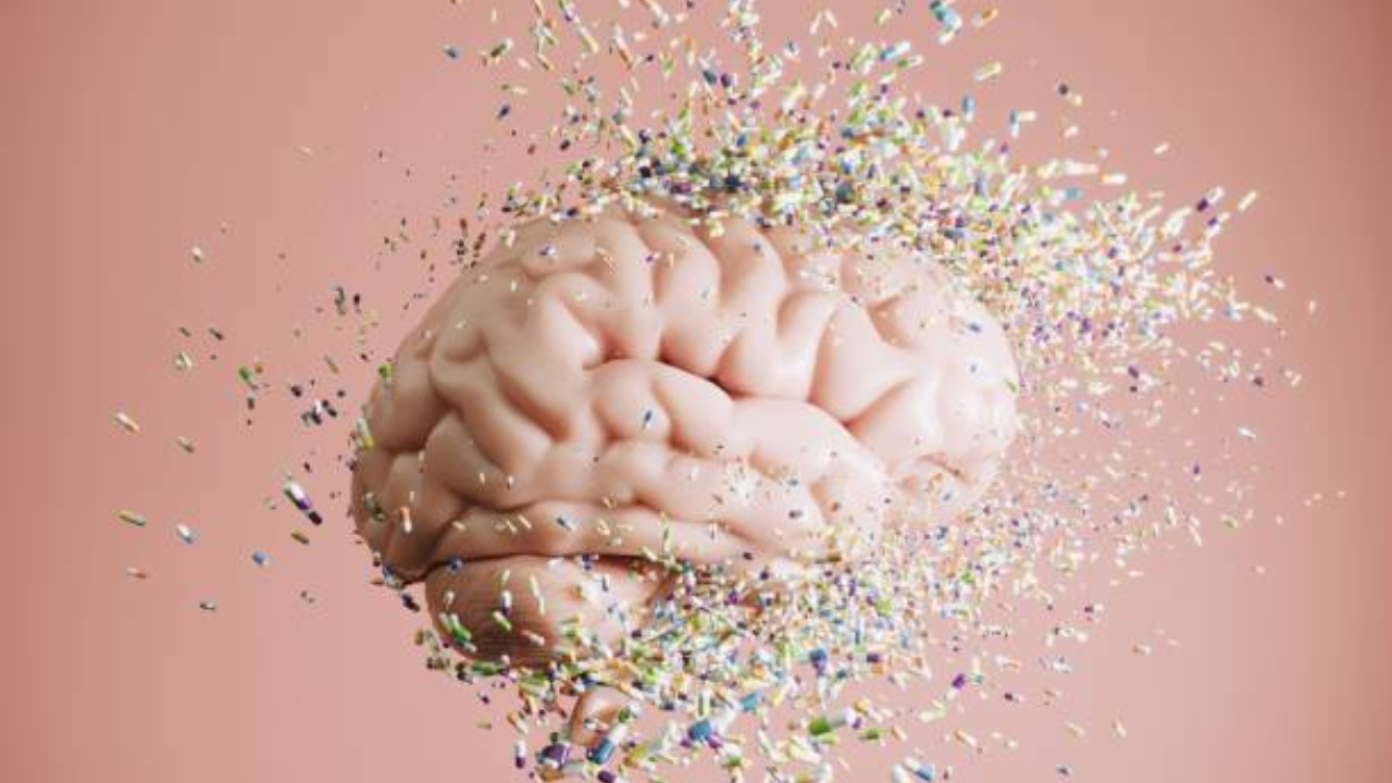 brain